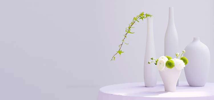 静物花卉白色植物背景图