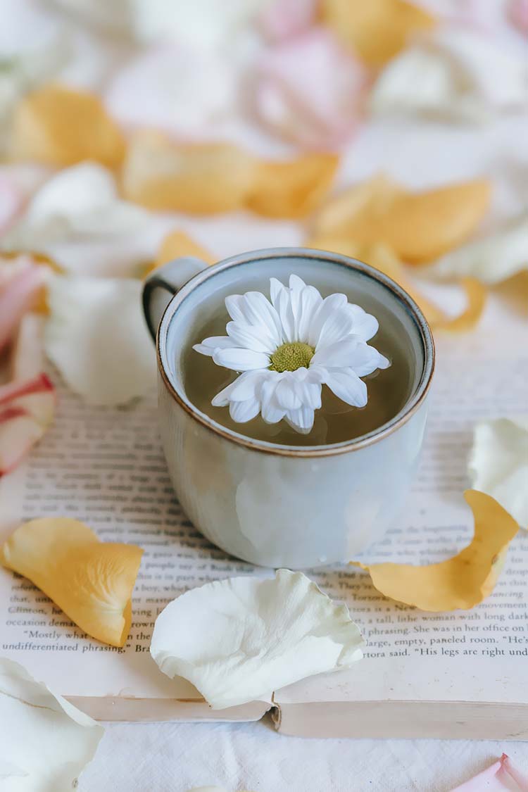 茶杯里的菊花