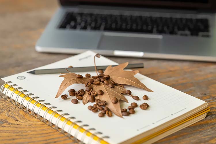 笔记本咖啡豆枫叶桌面上