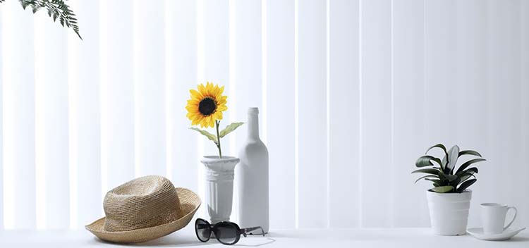 静物草帽墨镜植物花卉白色背景图