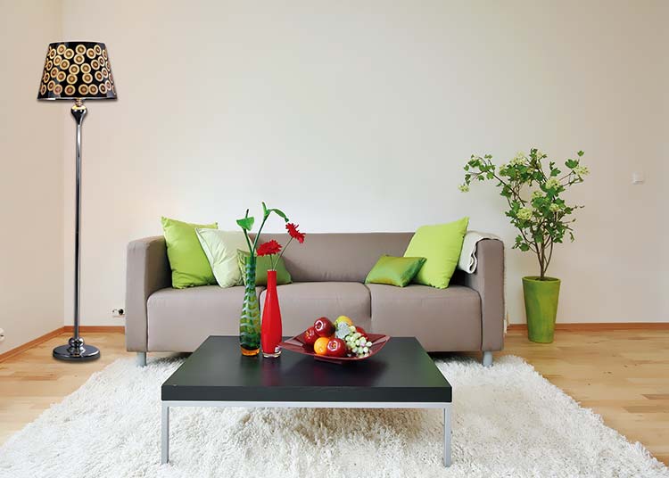 客厅沙发环境设计