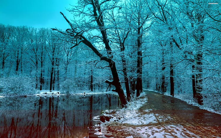 冰雪美丽风景