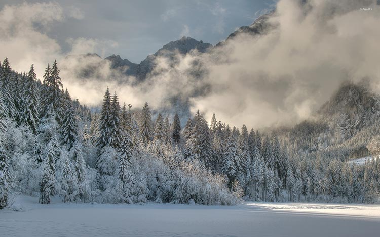 雪景美丽风景