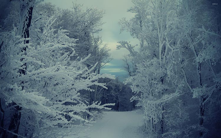 冬天冰雪美丽风景