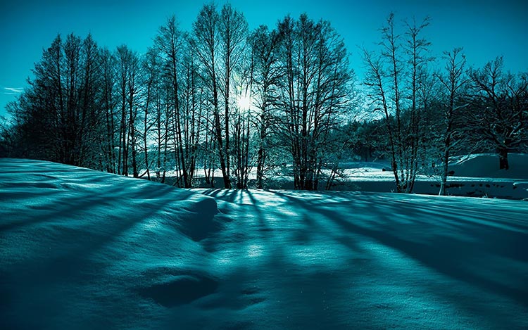 美丽雪景