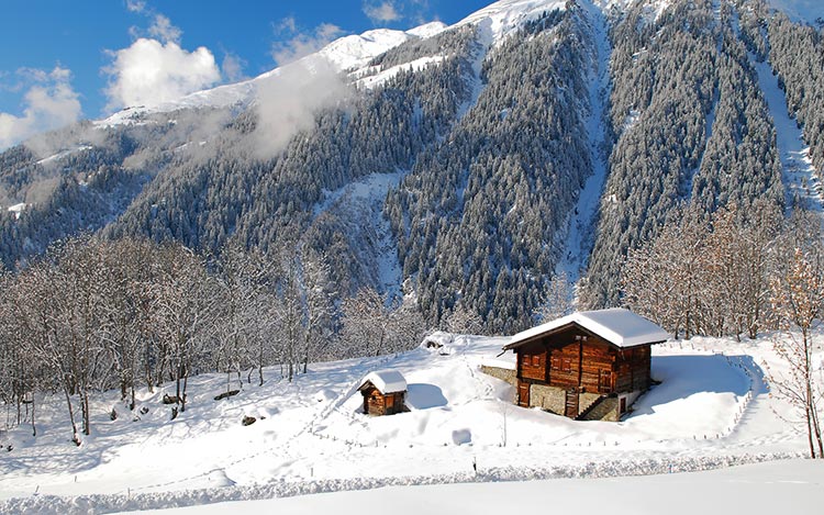 大雪山背景