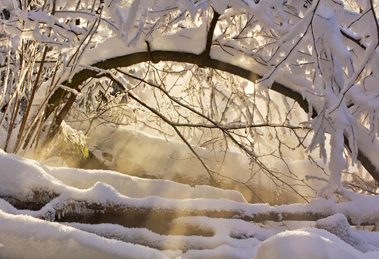 冬天雪景