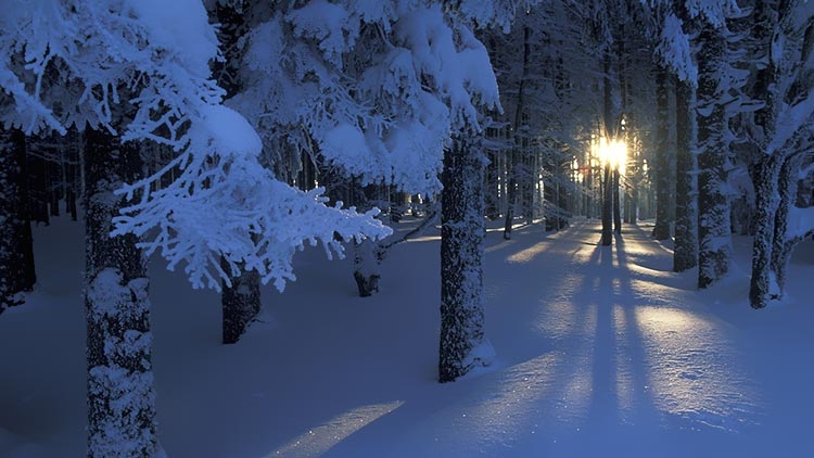 冬天雪景