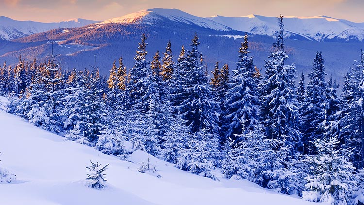 大雪山壁纸