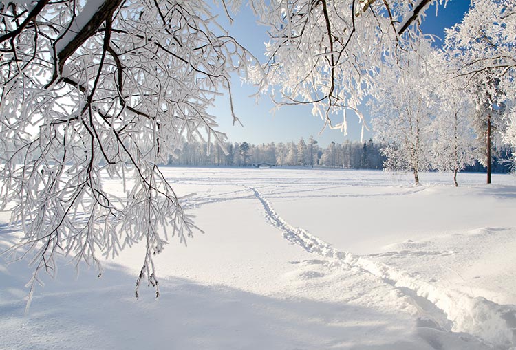 雪地背景