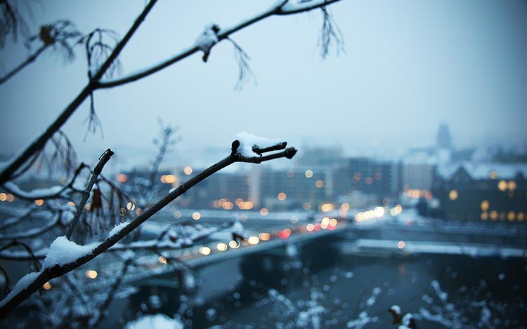 城市雪景